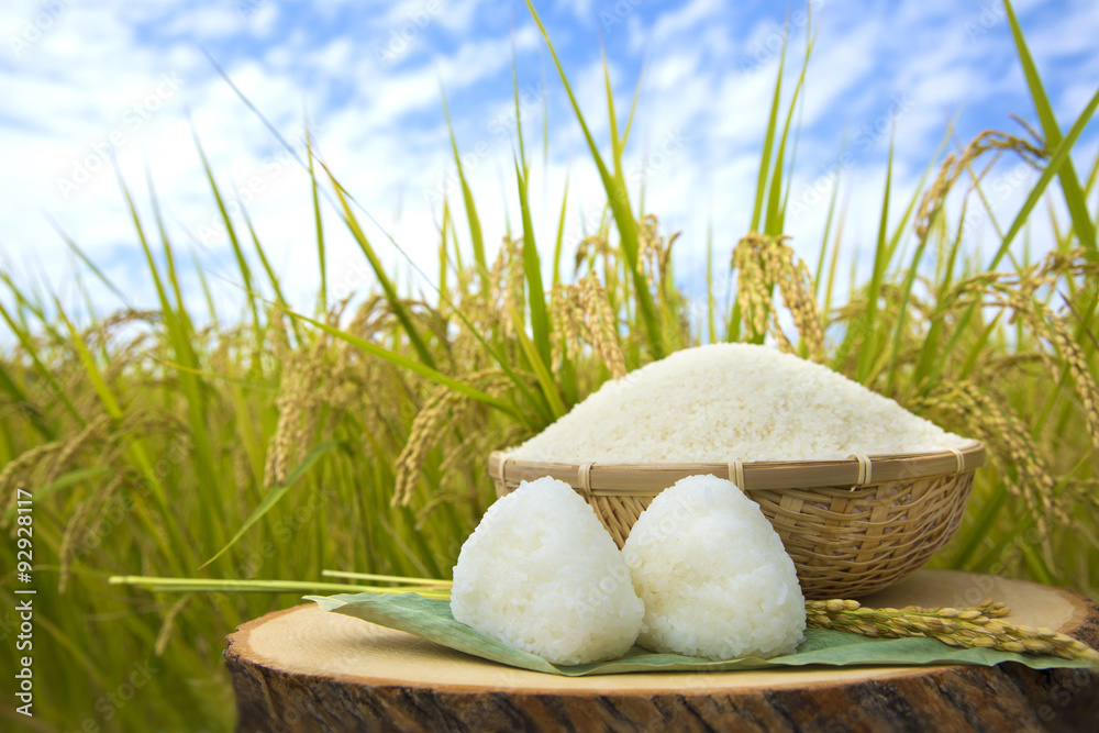 【福岡県宗像市】 無農薬米・古代米生産に取り組む